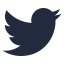 twitter logo